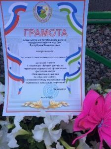 Фестиваль цветов «Мой красочный цветной, Октябрьский район!»