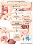 Профилактика и рання диагностика новообразований слизистой оболочки полости рта